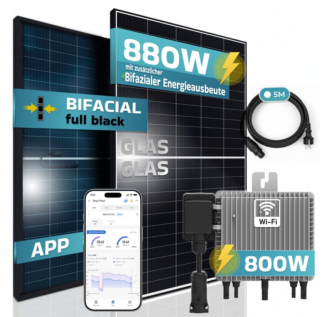 (mit 800W Deye Micro Wechselrichter Wifi