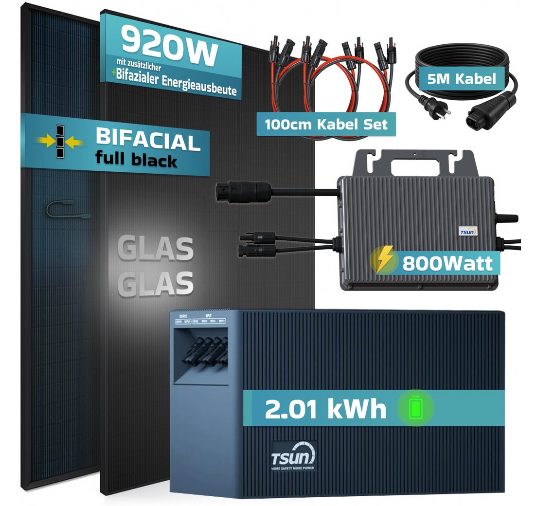 01 kWh Speicher TSUN TSOL-DCU2000Lite