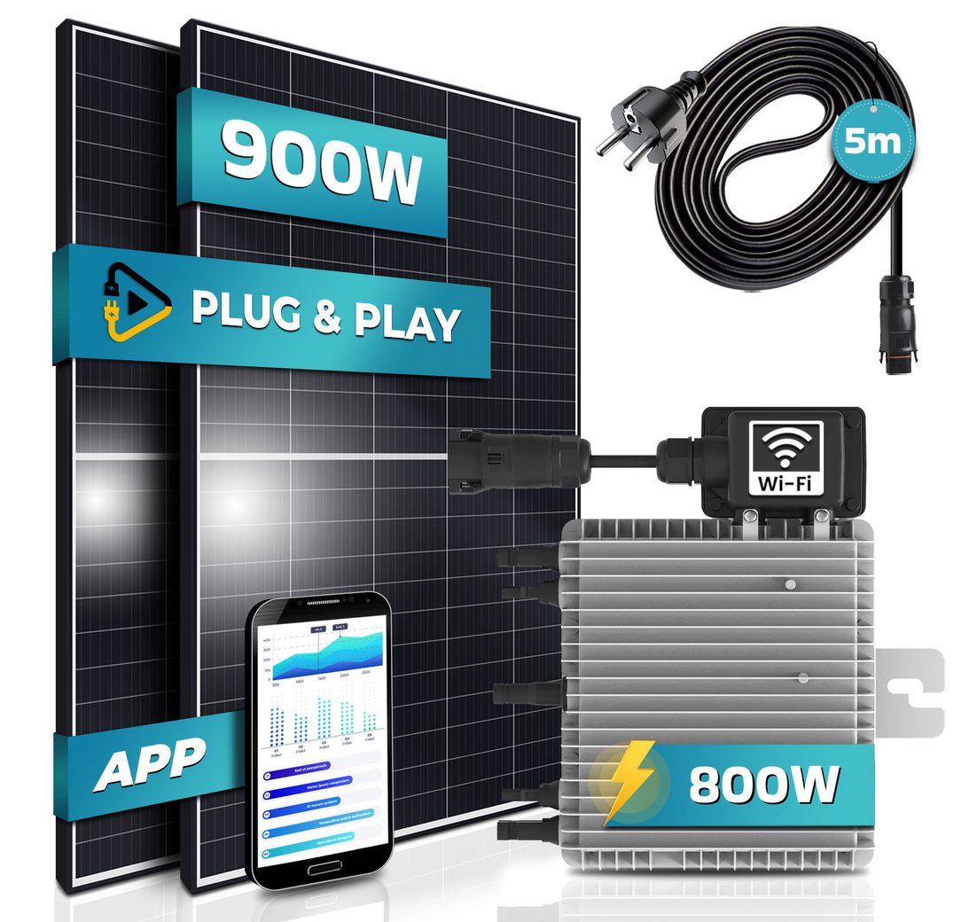 (mit 800W Deye Micro Wechselrichter mit WIFI