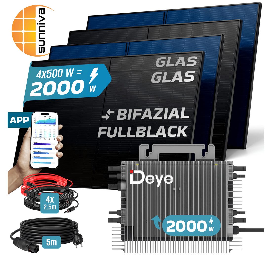 (DEYE 2000 Watt Wechselrichter