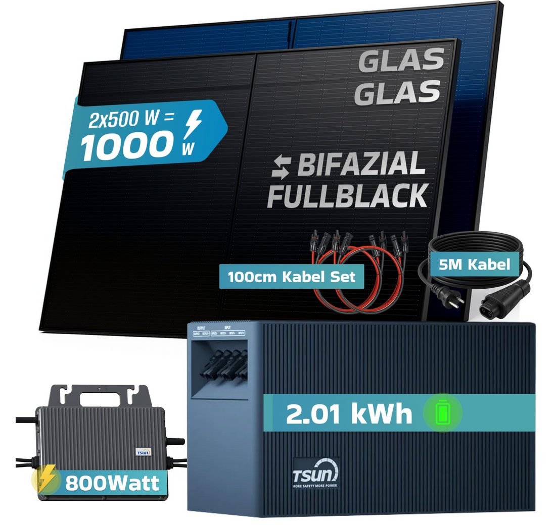 01 kWh Speicher TSUN TSOL-DCU2000Lite