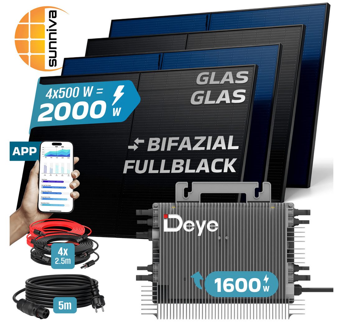 (DEYE 1600W Wechselrichter